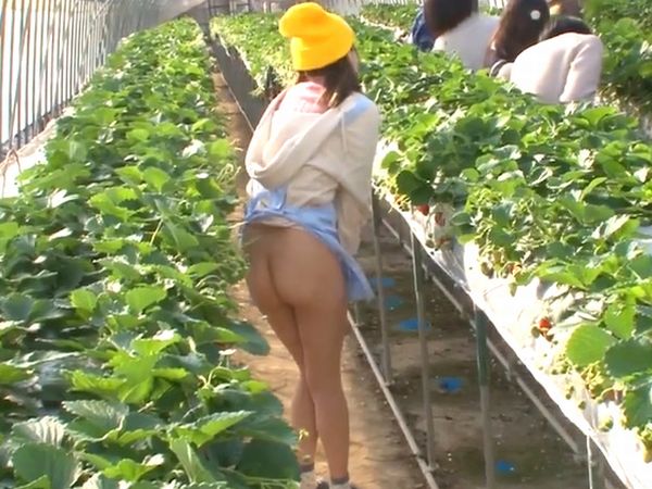 Thumbnail of post image 071